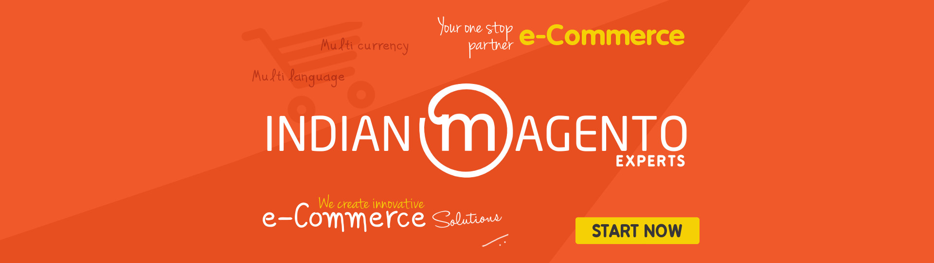 Indian Magento Experts